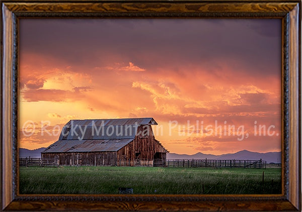 “Beauty Before the Storm” Western Framed Canvas Print