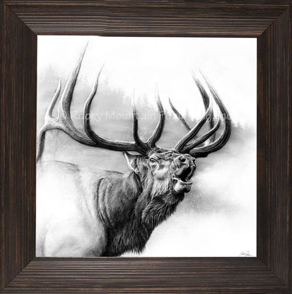 “Rocky Mountain King” Elk Framed Canvas Print