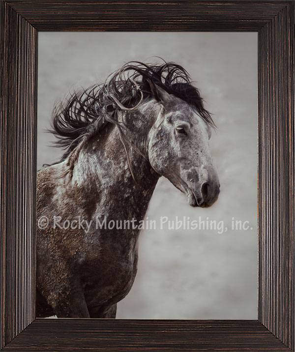 “Wild” Framed Canvas Print