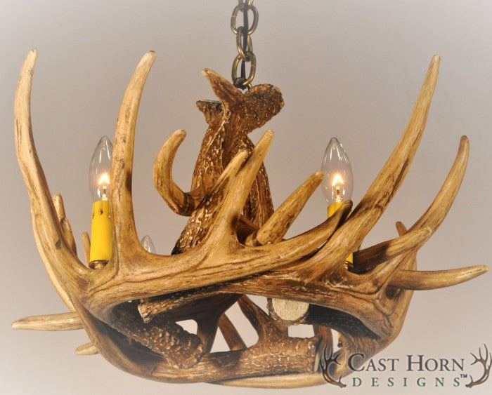 Whitetail Deer 6 Antler Chandelier