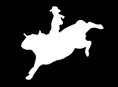 “Bull Rider 5” High Performance Vinyl Decal