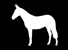 “Mule 4” High Performance Vinyl Decal