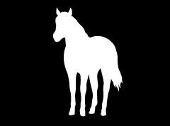 “Horse 11” High Performance Vinyl Decal