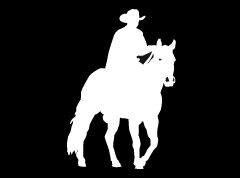 “Horse Ride 2” High Performance Vinyl Decal