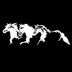 “Horse Trio” High Performance Vinyl Decal – 6″
