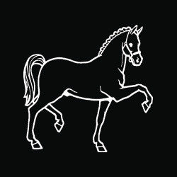 “Prance” High Performance Vinyl Decal