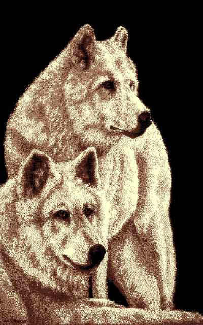 “Two Wolves” Rustic Northwoods Area Rug (5′ 1-1/2″ x 6′ 10″)