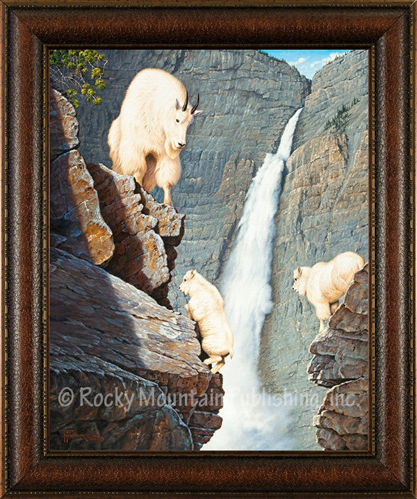 “Without a Net” Western Framed Canvas Print